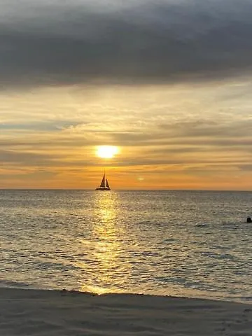 Good Vibes, Lovely Sea And Breeze Oasis At Eagle Beach Aruba パームビーチ 0*,